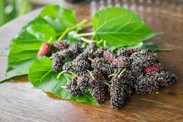 10 All Natural Tea Remedies for Menopause