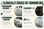 Burn 2.0™ Thermogenic Fat Burner Shot